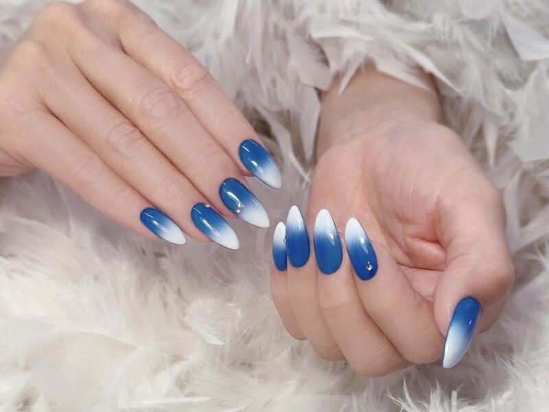 指先に咲くネモフィラの世界